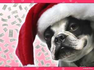 SAnta dog