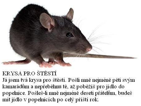 Krysa pro tst soubor