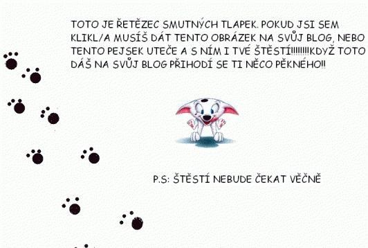 tntko tst