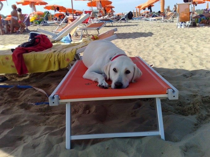 Bibione-24