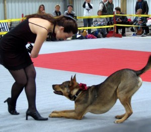 dogdancing