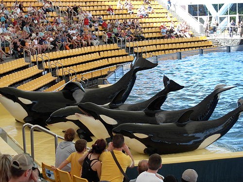 loro parque