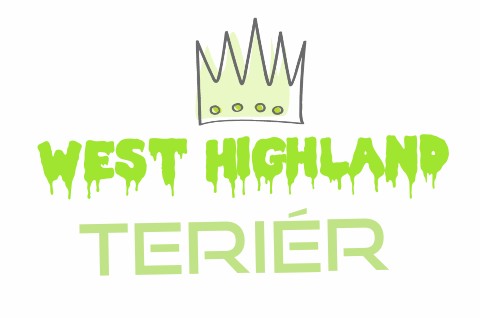 Blog #4