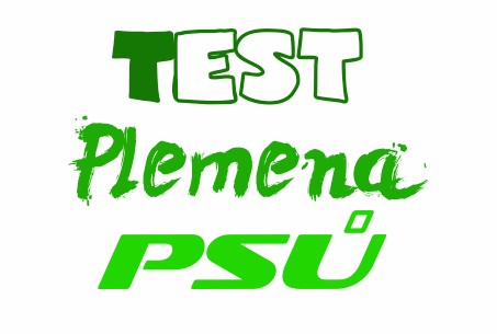 Blog #11