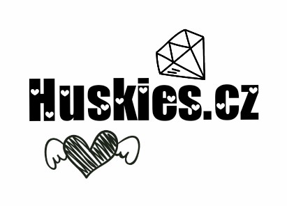 Blog #12