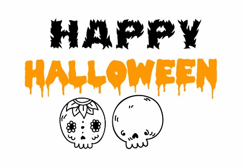 Blog #19
