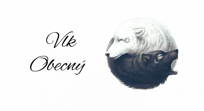 Blog #26