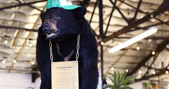 Cocaine-Bear